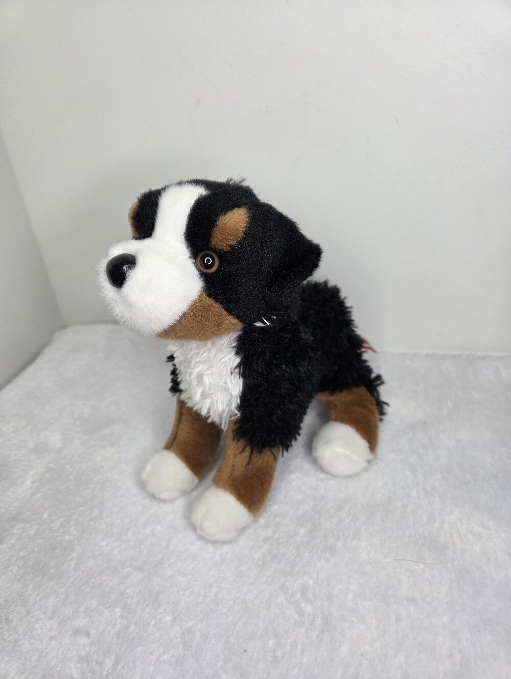 Douglas Small Bernese Mountain Dog